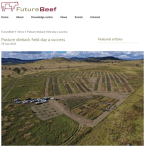 Future Beef pasture dieback-1